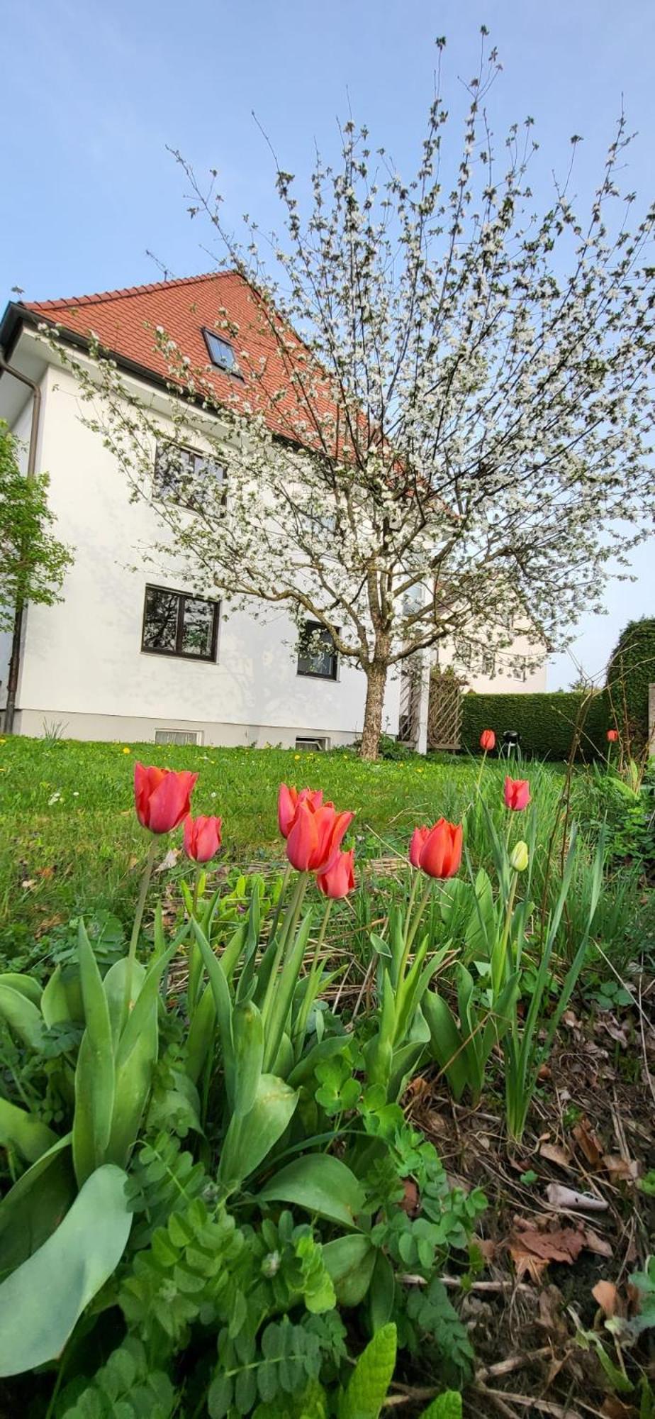 Allgaeu Retreat Bad Worishofen Exterior photo